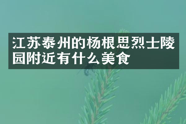 江苏泰州的杨根思烈士陵园附近有什么美食