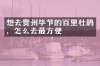 想去贵州毕节的百里杜鹃，怎么去最方便