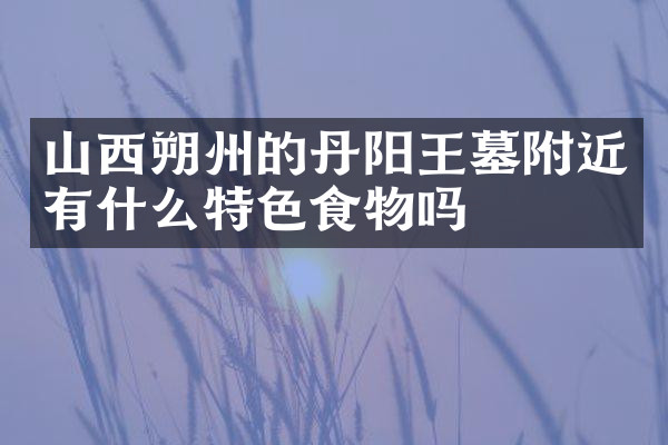 山西朔州的丹阳王墓附近有什么特色食物吗