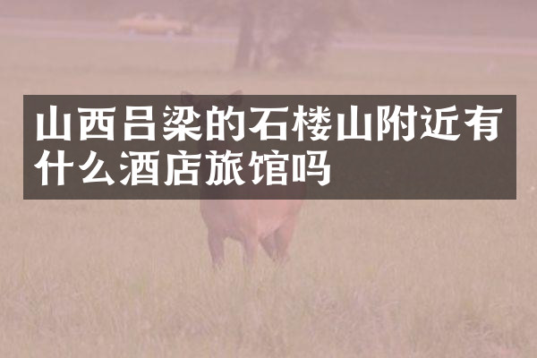 山西吕梁的石楼山附近有什么酒店旅馆吗