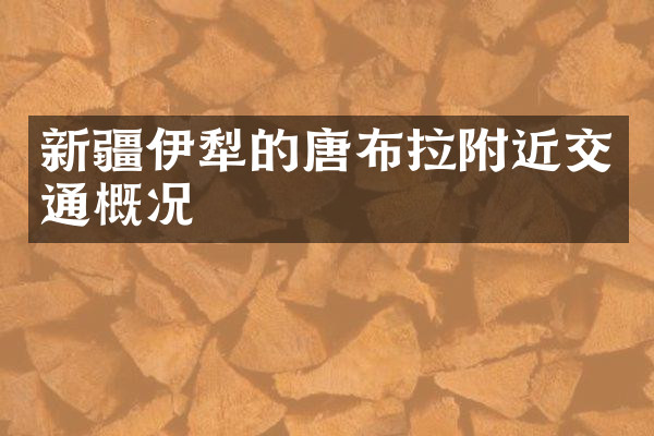 新疆伊犁的唐布拉附近交通概况