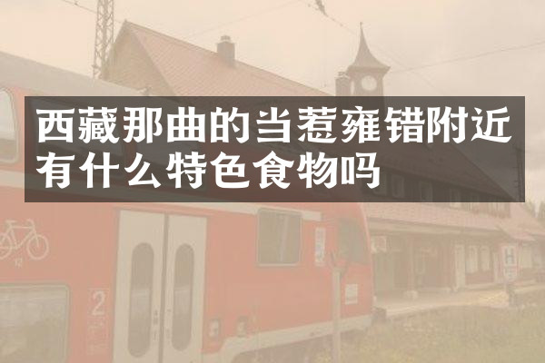 西藏那曲的当惹雍错附近有什么特色食物吗