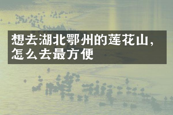 想去湖北鄂州的莲花山，怎么去最方便