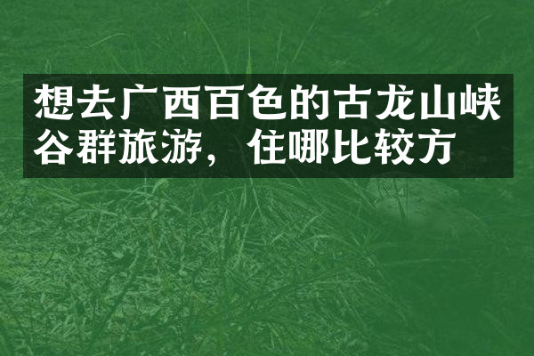 想去广西百色的古龙山峡谷群旅游，住哪比较方便
