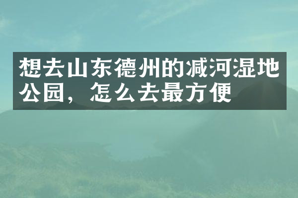 想去山东德州的减河湿地公园，怎么去最方便