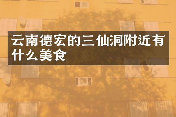 云南德宏的三仙洞附近有什么美食