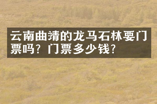 云南曲靖的龙马石林要门票吗？门票多少钱？
