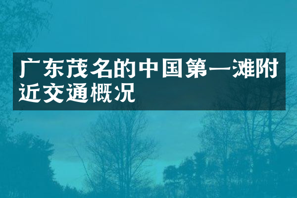 广东茂名的中国第一滩附近交通概况