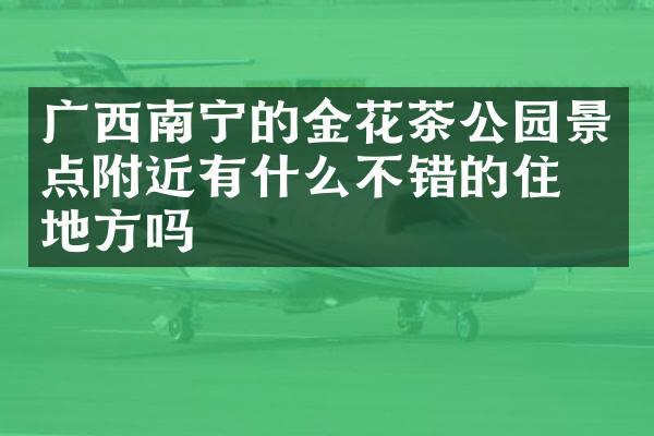 广西南宁的金花茶公园景点附近有什么不错的住的地方吗