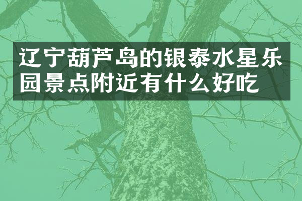 辽宁葫芦岛的银泰水星乐园景点附近有什么好吃的
