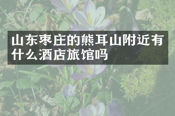 山东枣庄的熊耳山附近有什么酒店旅馆吗