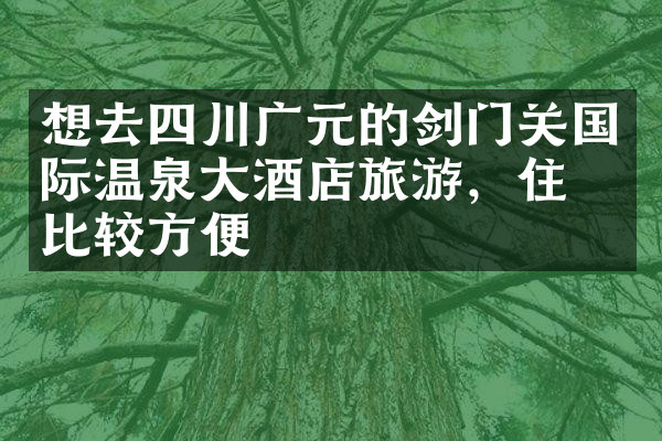 想去四川广元的剑门关国际温泉大酒店旅游，住哪比较方便