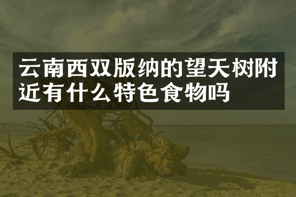 云南西双版纳的望天树附近有什么特色食物吗