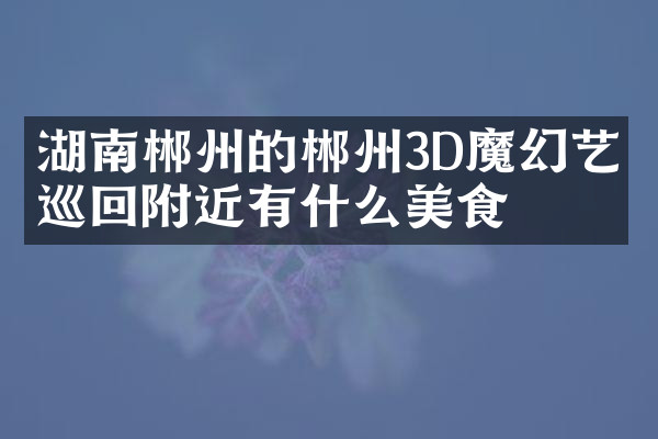 湖南郴州的郴州3D魔幻艺术巡回附近有什么美食