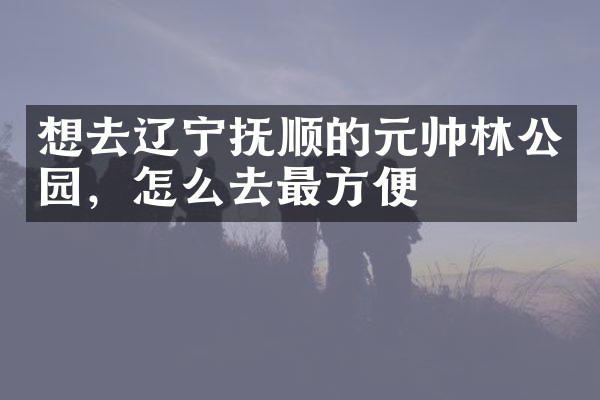 想去辽宁抚顺的元帅林公园，怎么去最方便