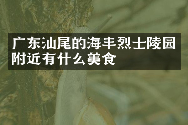 广东汕尾的海丰烈士陵园附近有什么美食