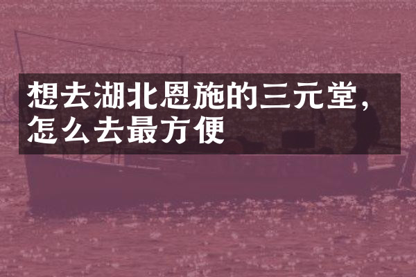 想去湖北恩施的三元堂，怎么去最方便