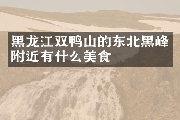 黑龙江双鸭山的东北黑峰附近有什么美食