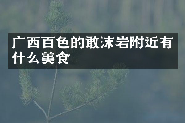 广西百色的敢沫岩附近有什么美食
