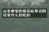 山东泰安的桃花峪景点附近有什么好吃的