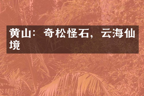 黄山：奇松怪石，云海仙境
