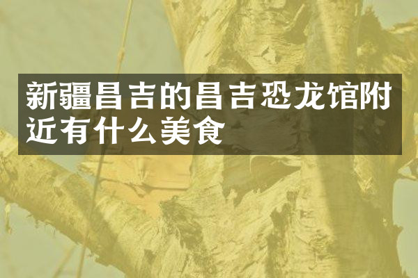 新疆昌吉的昌吉恐龙馆附近有什么美食