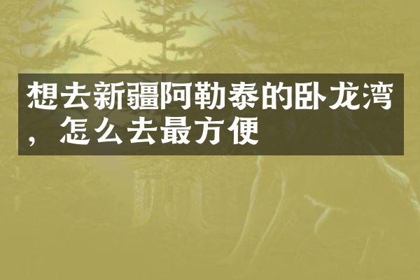 想去新疆阿勒泰的卧龙湾，怎么去最方便