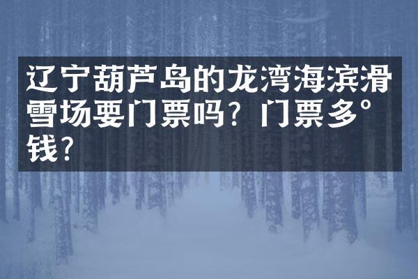 辽宁葫芦岛的龙湾海滨滑雪场要门票吗？门票多少钱？