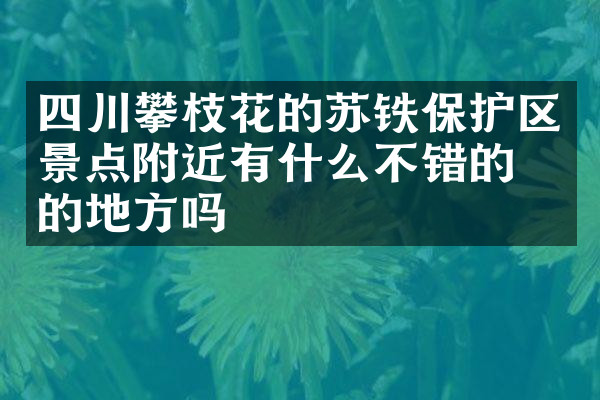 四川攀枝花的苏铁保护区景点附近有什么不错的住的地方吗