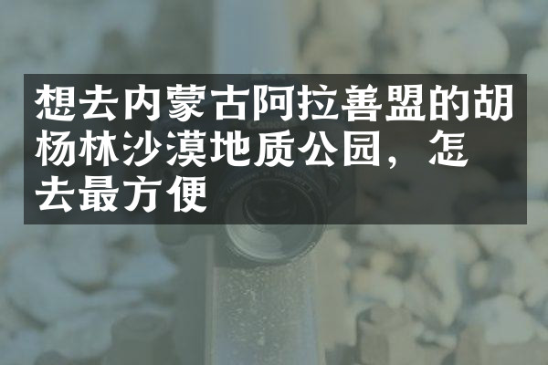 想去内蒙古阿拉善盟的胡杨林沙漠地质公园，怎么去最方便