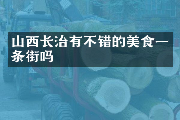 山西长治有不错的美食一条街吗