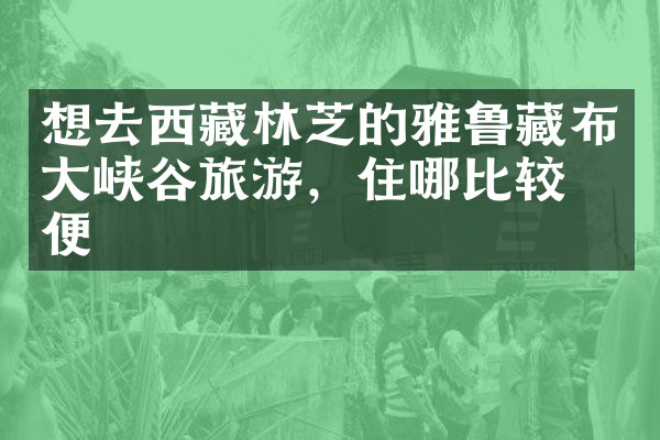 想去西藏林芝的雅鲁藏布大峡谷旅游，住哪比较方便