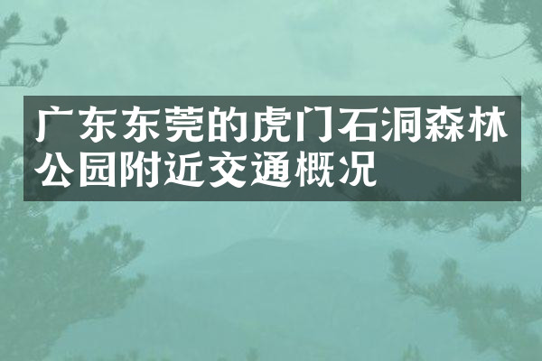广东东莞的虎门石洞森林公园附近交通概况