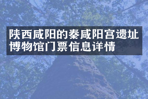 陕西咸阳的秦咸阳宫遗址博物馆门票信息详情