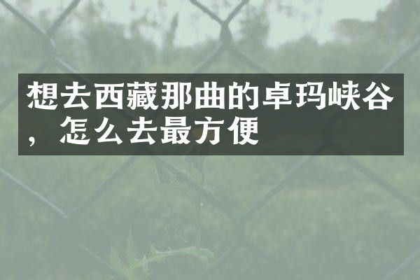 想去西藏那曲的卓玛峡谷，怎么去最方便
