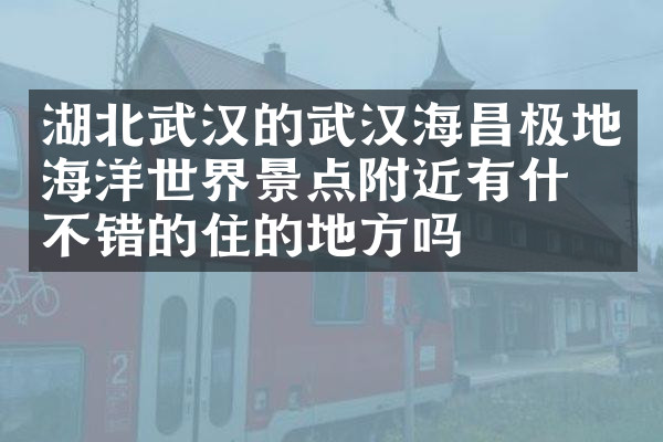 湖北武汉的武汉海昌极地海洋世界景点附近有什么不错的住的地方吗