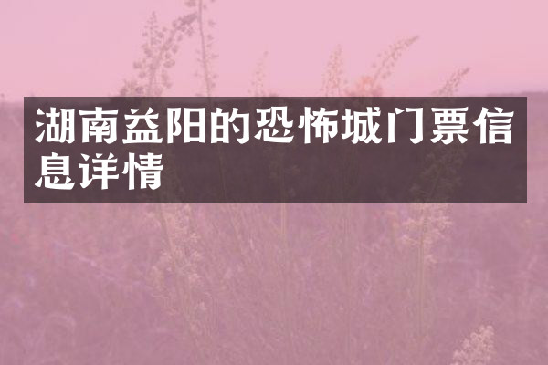 湖南益阳的恐怖城门票信息详情