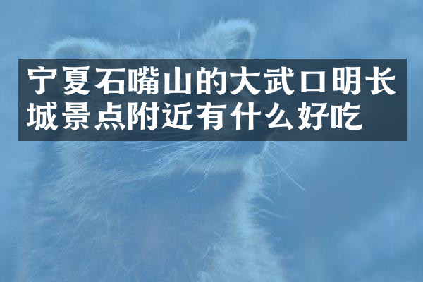 宁夏石嘴山的大武口明长城景点附近有什么好吃的