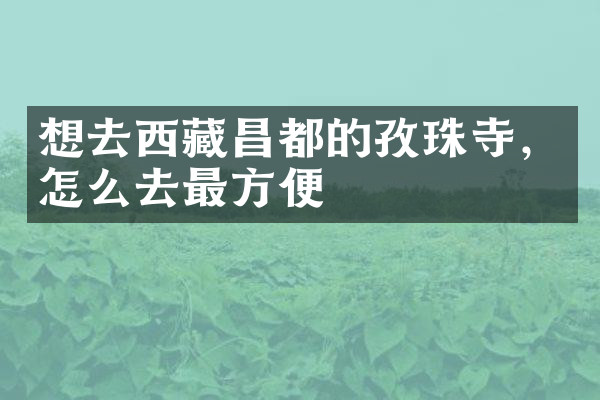 想去西藏昌都的孜珠寺，怎么去最方便