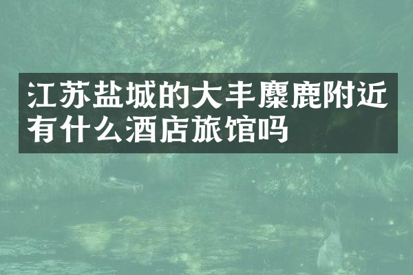 江苏盐城的大丰麋鹿附近有什么酒店旅馆吗