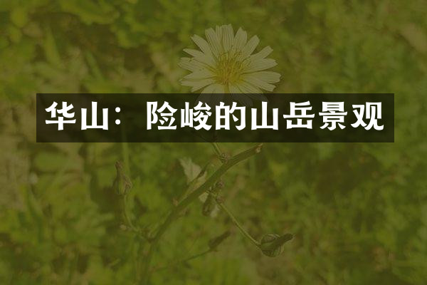 华山：险峻的山岳景观