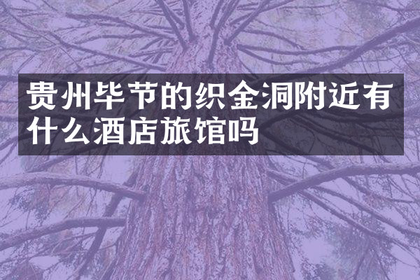 贵州毕节的织金洞附近有什么酒店旅馆吗