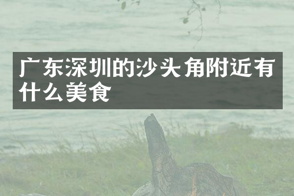 广东深圳的沙头角附近有什么美食