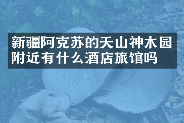 新疆阿克苏的天山神木园附近有什么酒店旅馆吗