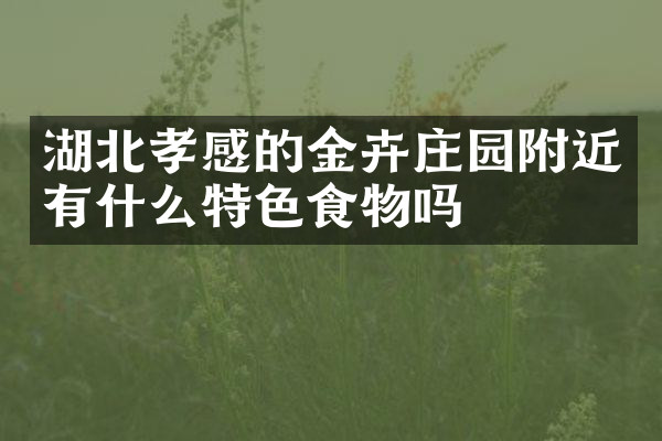 湖北孝感的金卉庄园附近有什么特色食物吗