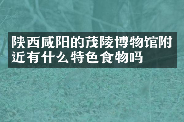 陕西咸阳的茂陵博物馆附近有什么特色食物吗