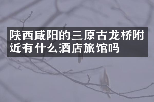 陕西咸阳的三原古龙桥附近有什么酒店旅馆吗