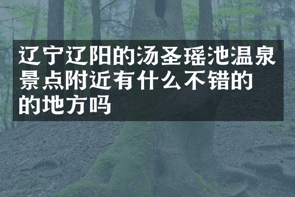 辽宁辽阳的汤圣瑶池温泉景点附近有什么不错的住的地方吗