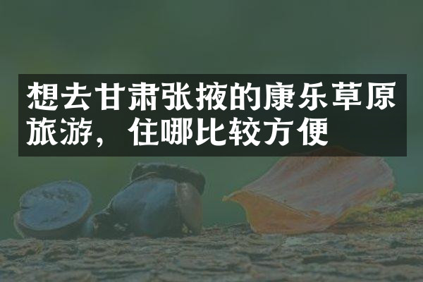 想去甘肃张掖的康乐草原旅游，住哪比较方便