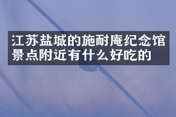 江苏盐城的施耐庵纪念馆景点附近有什么好吃的